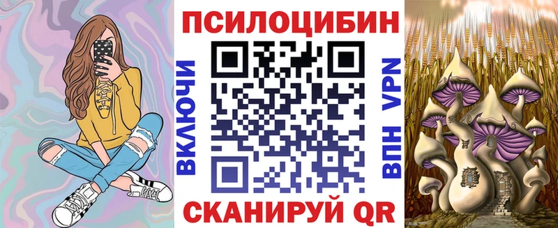 закладка  Никольское  Галлюциногенные грибы Magic Shrooms 