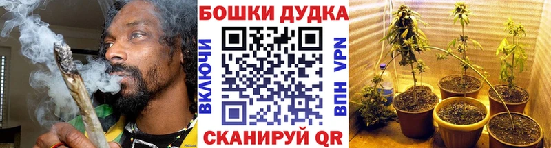 Шишки марихуана марихуана  hydra зеркало  Никольское 